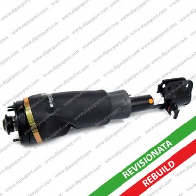 DIPASPORT SSAS02516R Air Spring, suspension